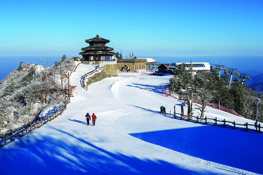 Manali Tour Packages