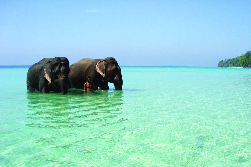 Elephant Beach