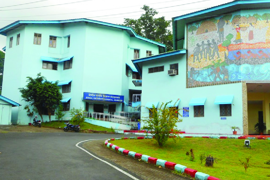 Anthropological Museum