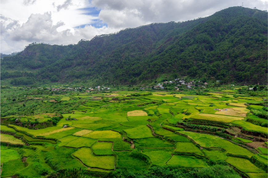 Coorg, Karnataka Holiday Packages