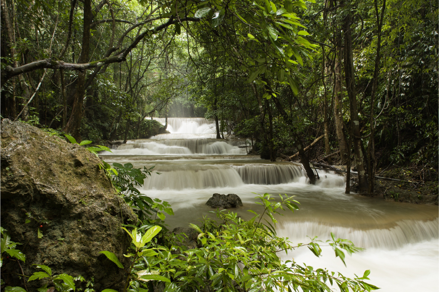 Kodaikanal, Tamil Nadu