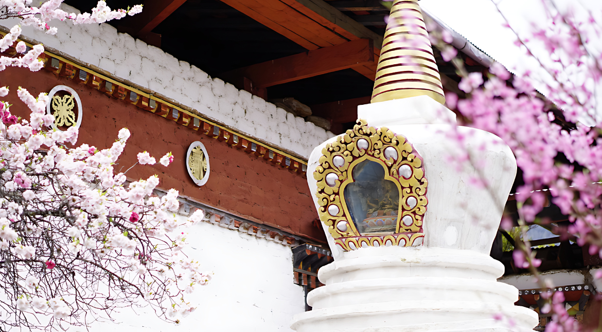 Soak in the Hot Springs