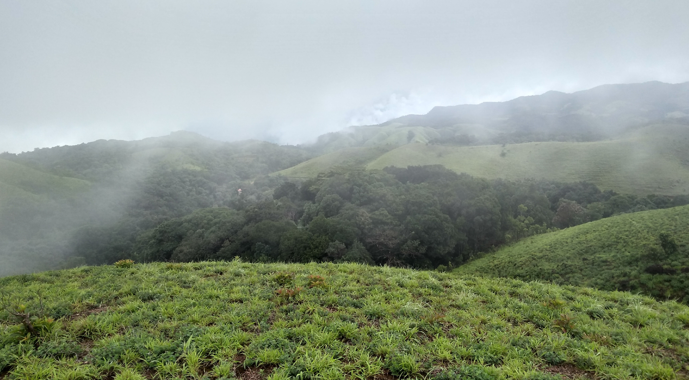 Enchanting Diversity