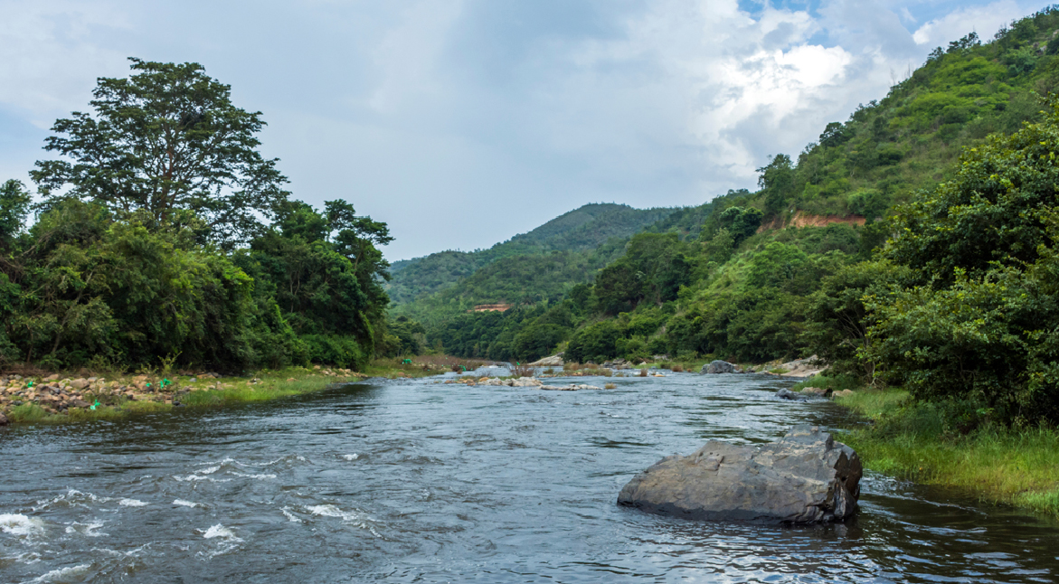 Silent Valley National Park