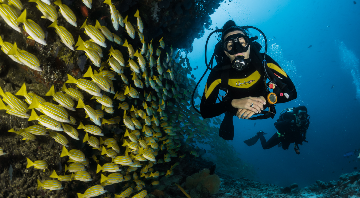 Marine Conservation Efforts