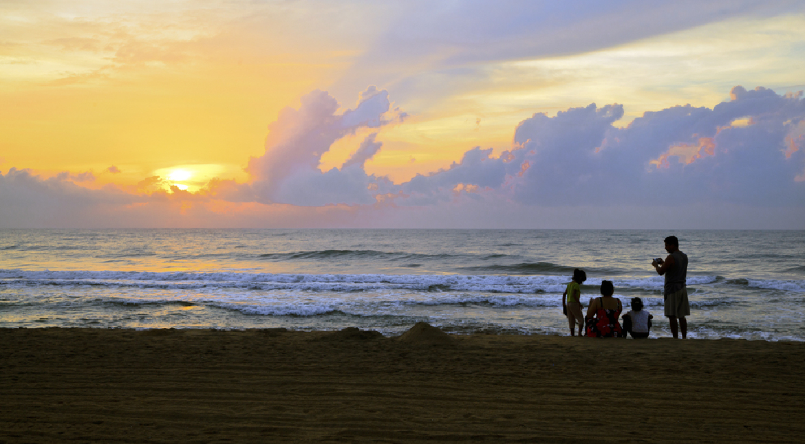 Discovering the Enchanting Environs