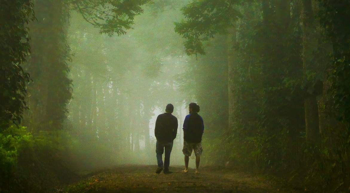 Coorg Trek, Karnataka