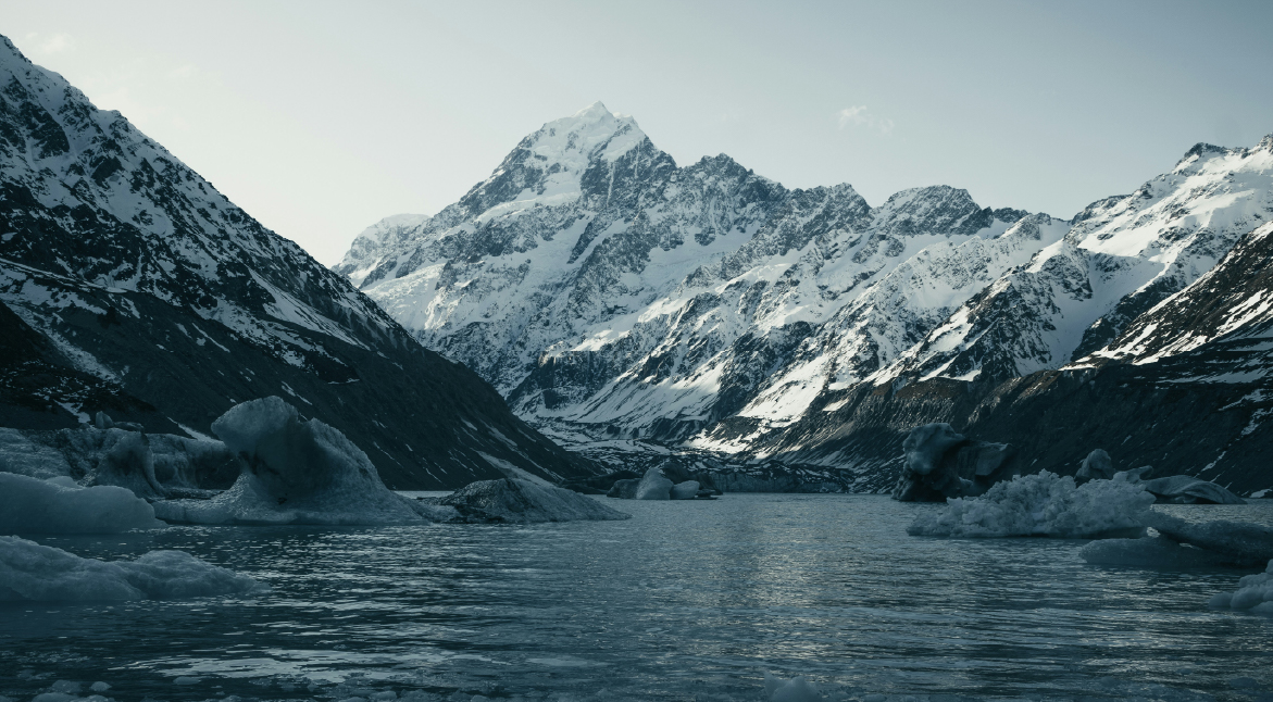 Embrace the Majesty of Nature