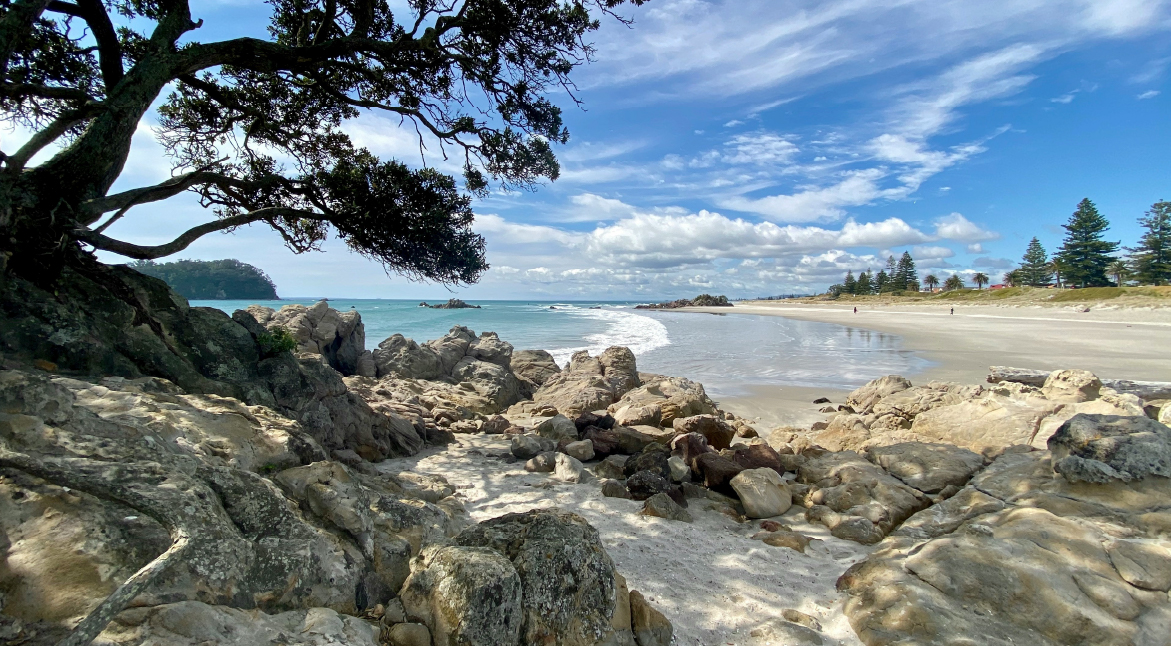 Embrace the Spirit of Aotearoa