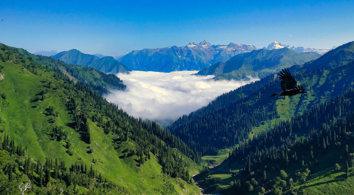 Spring Symphony: March to May