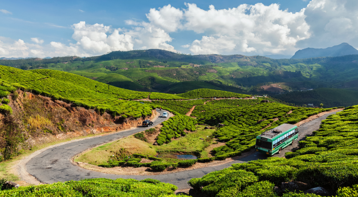 Munnar, Kerala- A Tea Lover's Paradise