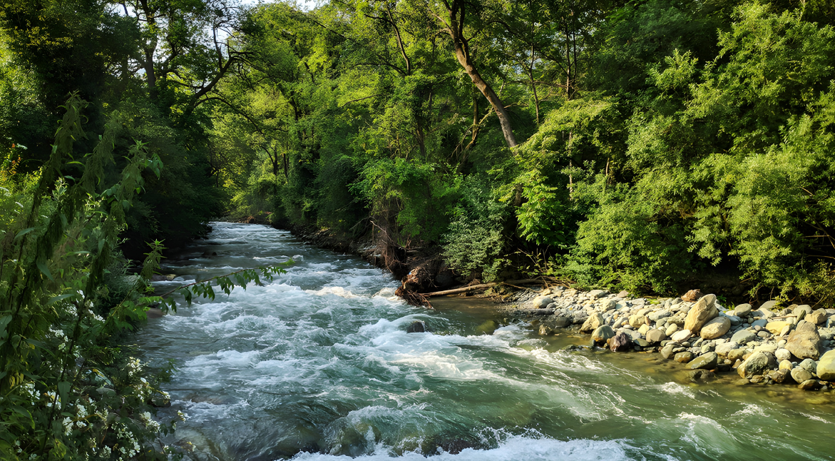 Dachigam National Park