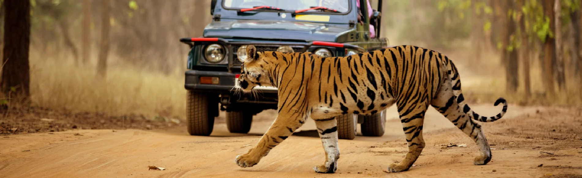 10 Convincing Reasons You Must Take Time To Travel