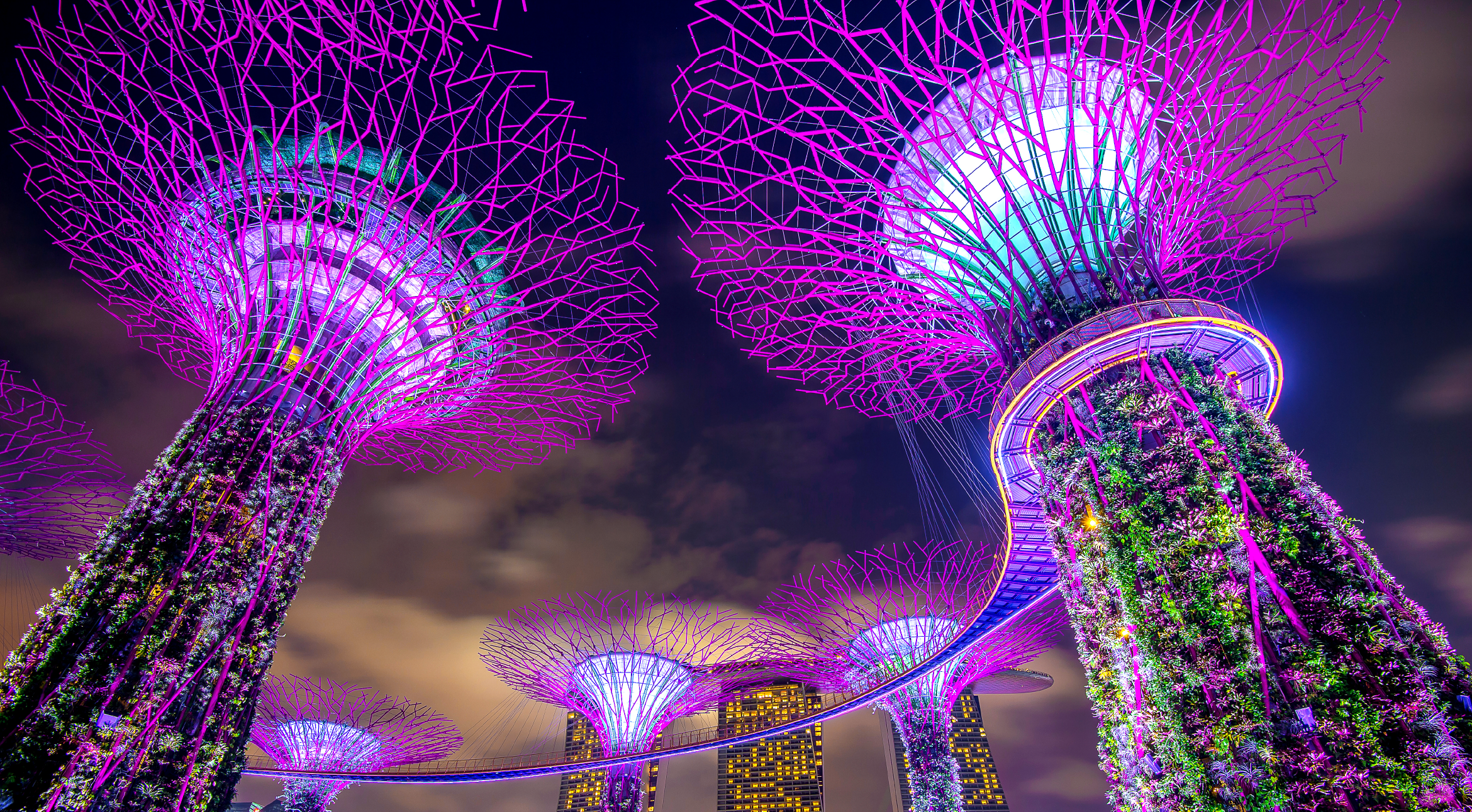 Gardens by the Bay:  Nature and Technology