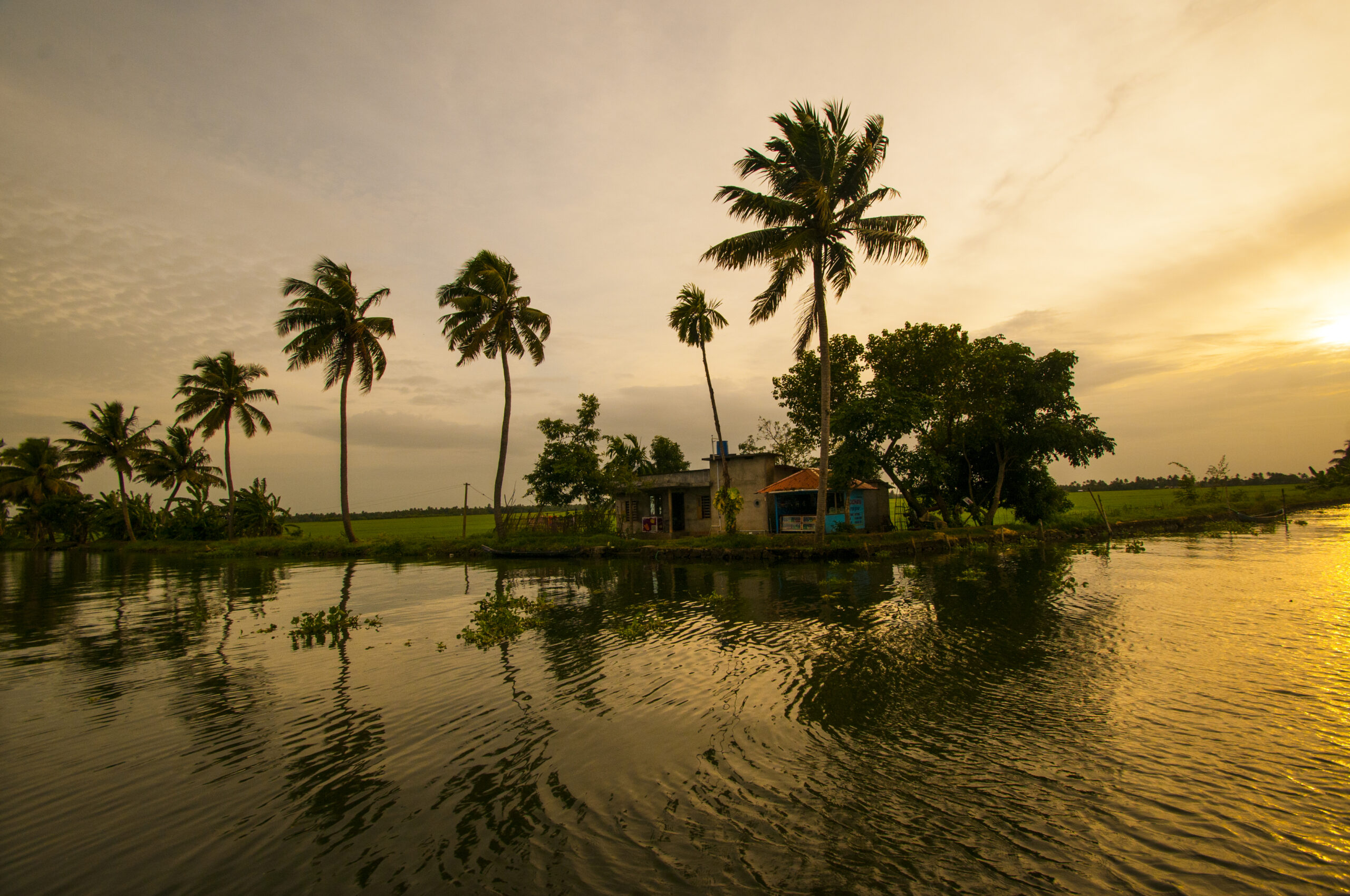 Kerala 8 Nights / 9 Days